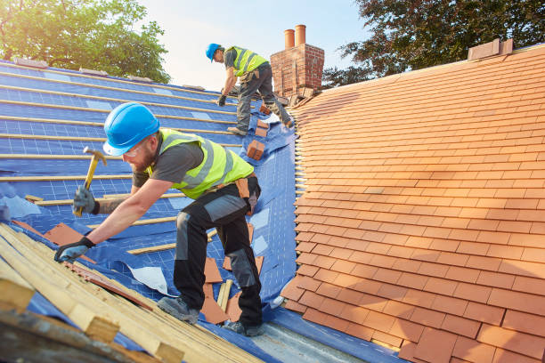 Best Roof Ventilation Installation  in Pis, AR